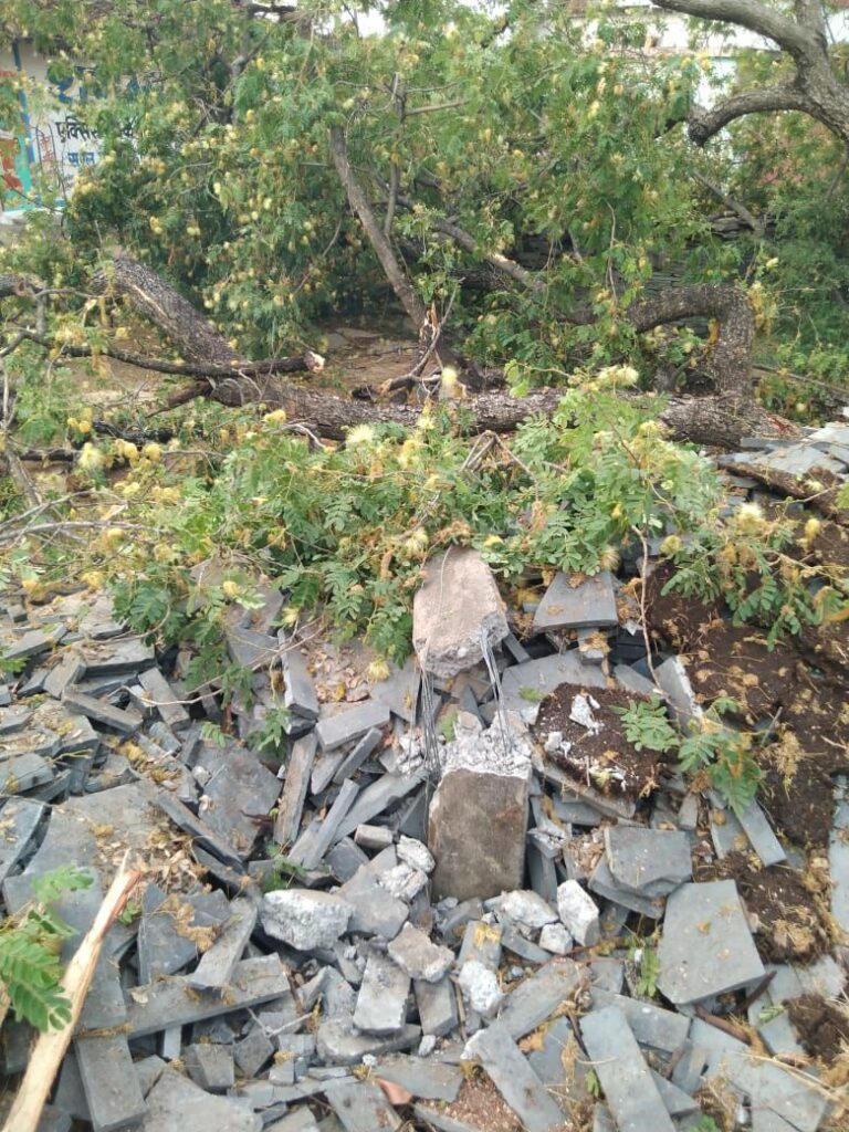 विद्युत विभाग की सक्रियता से हवा तूफान से प्रभावित गावो में हुई विद्युत व्यवस्था बहाल 3 img 20240410 wa00425576200687877992843