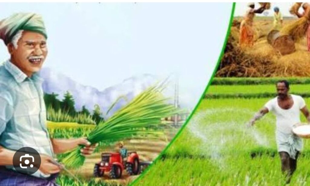 चिपरीडीह(गोकुलपुर) मे गौ आधारित कृषि" एवं "जैविक/प्राकृतिक कृषि कार्यशाला सह प्रशिक्षण" कार्यक्रम कल गुरुवार को, शामिल होंगे प्रदेश के नामचीन कृषि वैज्ञानिक 3 img 20241002 1331338403818786240785488