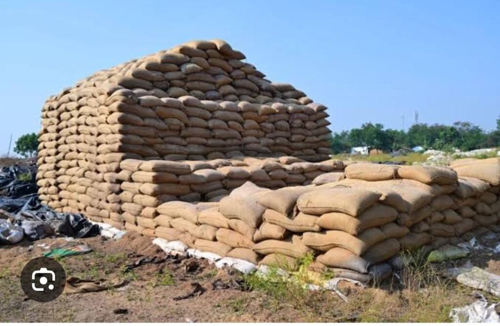 img 20260112 1447492705267591606266128