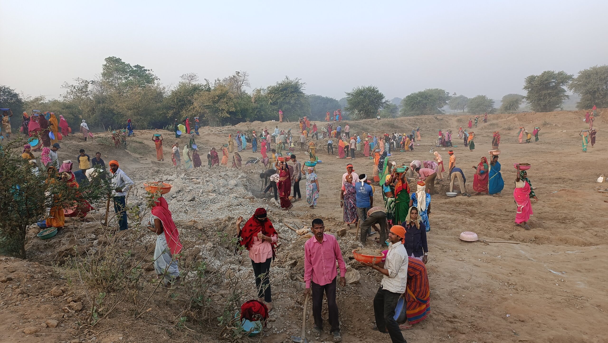 IMG 20260219 071250 scaled