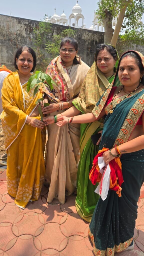 विश्व पर्यावरण दिवस पर नवापारा भाजपा मंडल का वृक्षारोपण कार्यक्रम संपन्न 2 img 20260605 wa00248060340621138565825